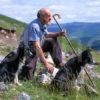 Highland Shepherd