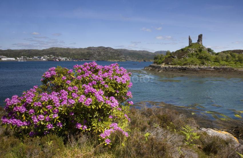 I5D6435 Moal Castle In Spring Kyleakin Skye