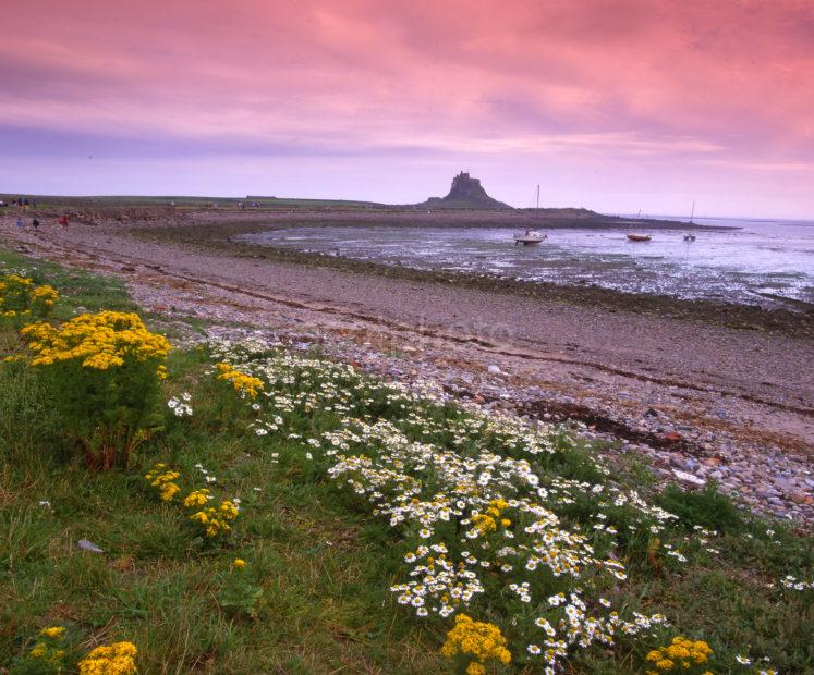 Lidisfarne Northumbria