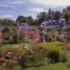 Summer Scene In The Picturesque Village Of Corrie Isle Of Arran