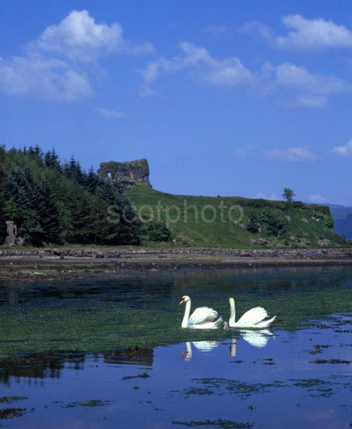 Aros Castle Ruins Nr Salen Sound Of Mull Island Of Mull