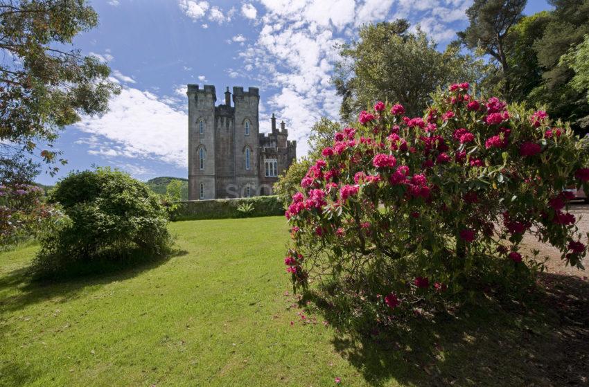 The Castle From Left Corner Shrubs