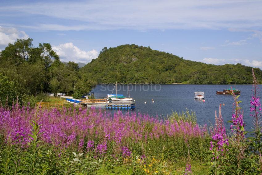 WY3Q4607 Summer On Loch Lomond From Luss