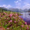 Lovely Springtime View In Picturesque Glen Etive Argyll