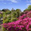 Ardmaddy Castle From Garden