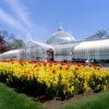 Kibble Palace Glasgow Botanical Gardens