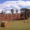 Typical Rolling Countryside In Scottish Borders