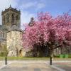 Paisley Abbey In Spring 07 Cropped