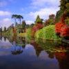 Sheffield Park Gardens Sussex