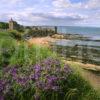 View Of St Andrews Castle Ruins S Andrews East Neuk Of Fife