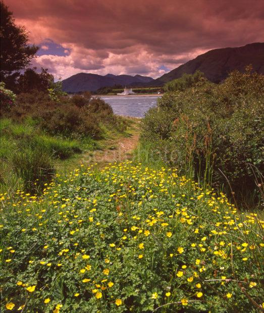 Summer View Across The Corran Sound Towards Ardgour Corran West Highlands