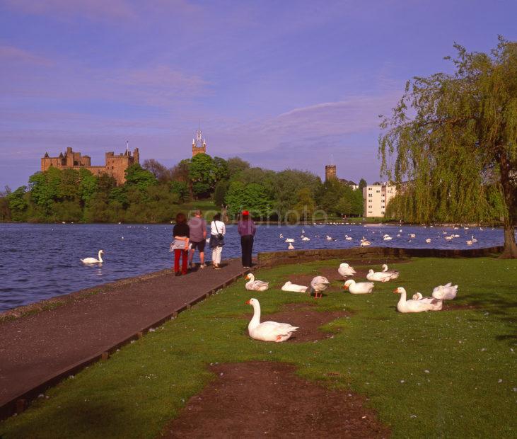 Linlithgow Palace As Seen From Linlithgow Loch East Lothian