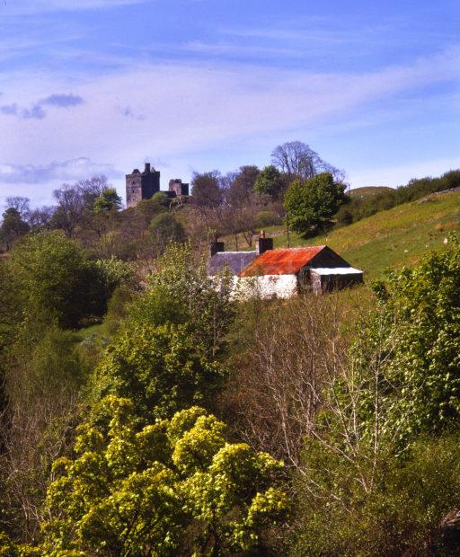 Canasserie Castle