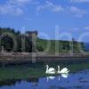 Aros Castle Ruins Nr Salen Sound Of Mull Island Of Mull