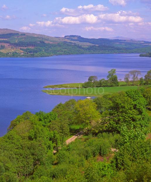 Summer View Overlooking Loch Awe From Blairgour Argyll