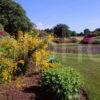 Springtime In Castl E Kennedy Gardens Towards Castle Across Lake