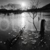 ICY SHORE LOCH AWE