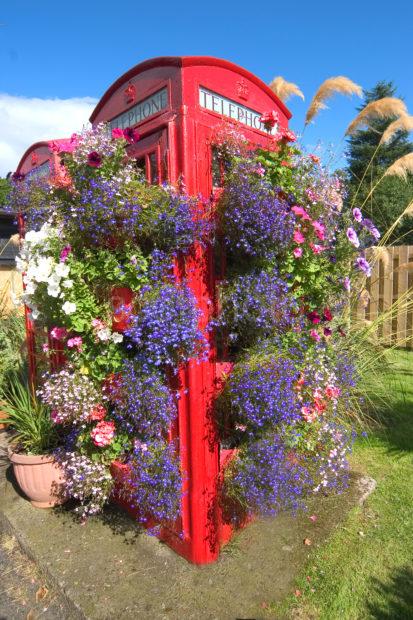 7296 Old Red Telephone Bos With Flowers