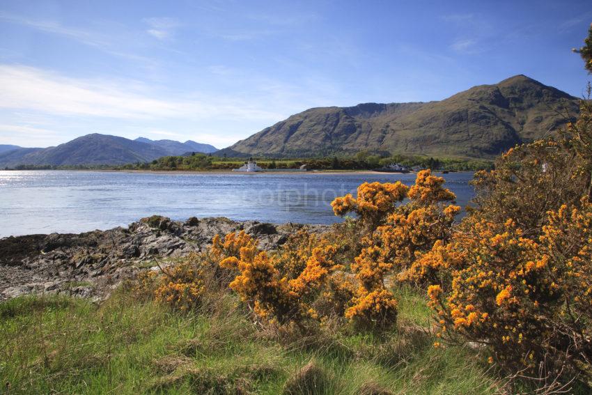 SPRING VIEW ACROSS CORRAN SOUND TO CORRAN LIGHTHOUSE LOCHABER