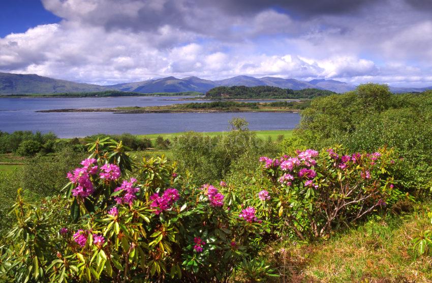 Springtime At Eriska With Morvern Hills