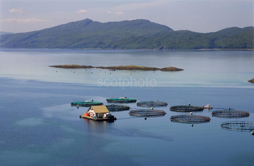 Lismore Fish Farm Cages