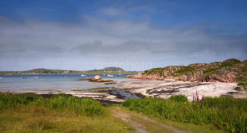 PANORAMIC IONA 2013