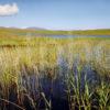 Loch Finlaggan From Reeds Island Of Islay