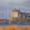 Duntrune Castle From Marshes Argyll