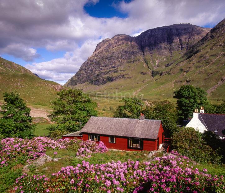 Spring In Glencoe