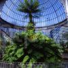 Inside The Kibble Palace At The Botanical Gardens West Side Of Glasgow