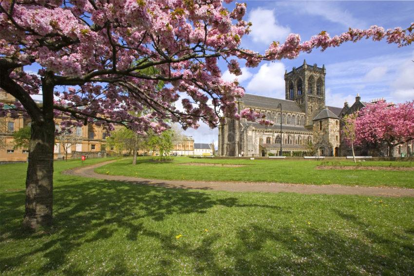 WY3Q4072 Paisley Abbey Spring Under Cherry Tree Renfrewshire Glasgow