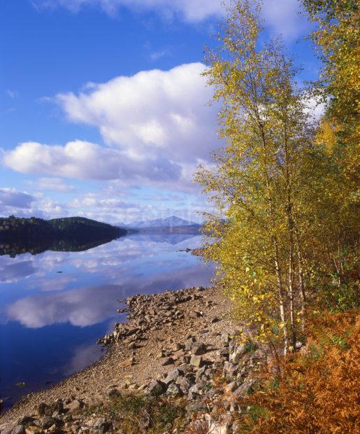 Magnificent Autumn Colours On Loch Garry Looking Westwards West Highlands Lochaber