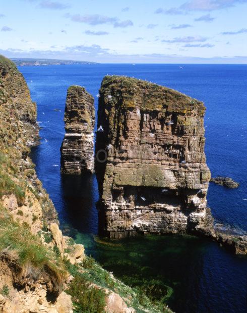 Sea Stacks Nr Duncansby Head Caithness