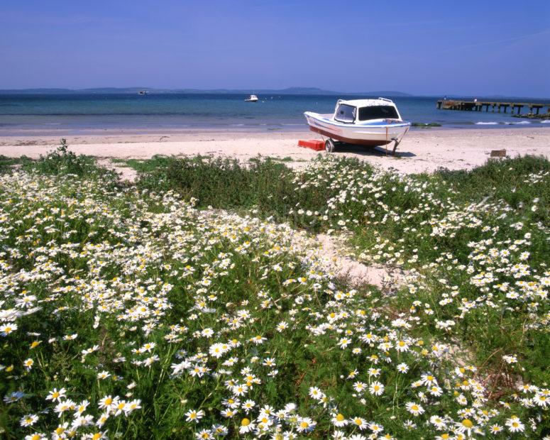 Beach Scene Tayinloan Pier Kintyre Ferry Route For Gigha