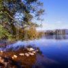 Loch Arkaig