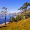 Loch Quoich Scottish Highlands