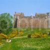 Springtime On The River Teith At Doune Castle Perthshire