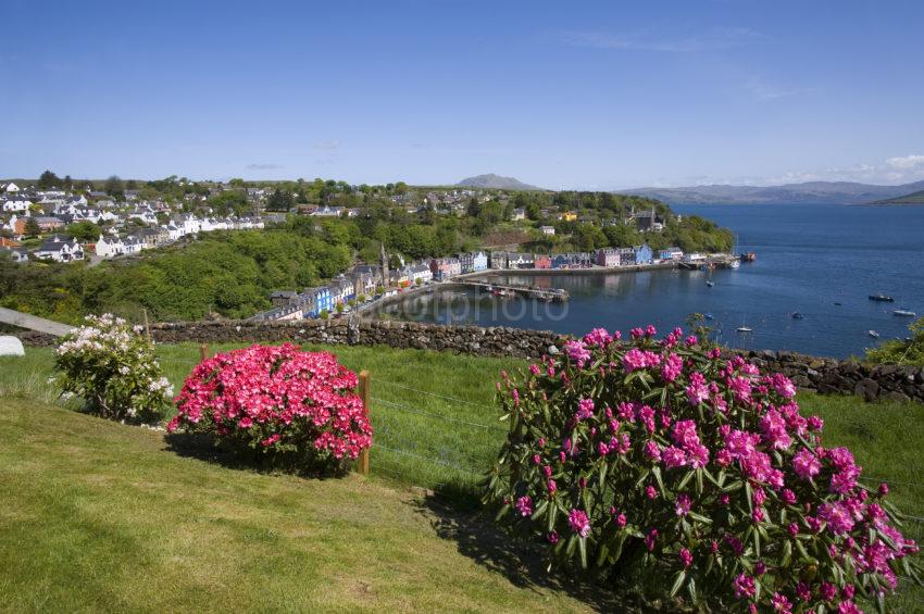 WY3Q9857 Tobermory Bay In Spring Mull