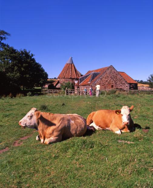 Tourists At Preston Mill Nr East Linton Scotland