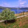 Summer View Overlooking Loch Sunart North West Highlands