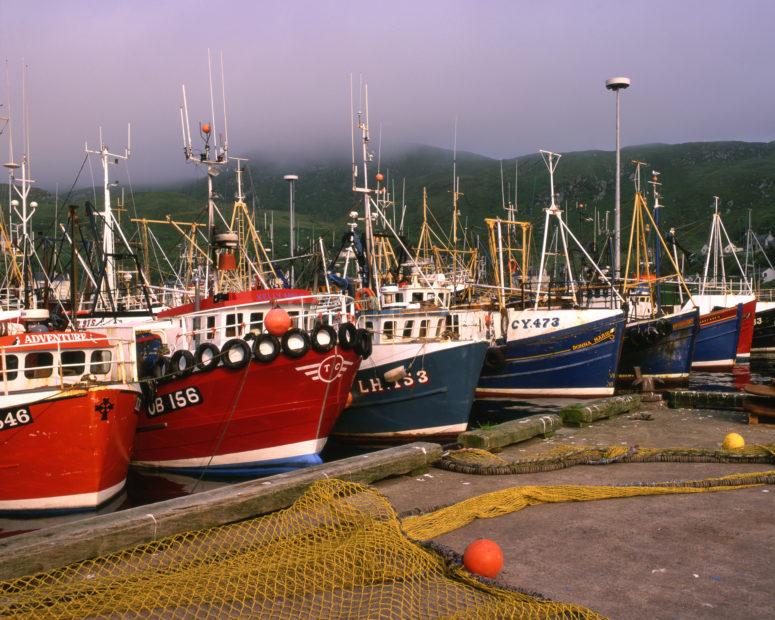 Mallaig Harbour And Fishing Fleet