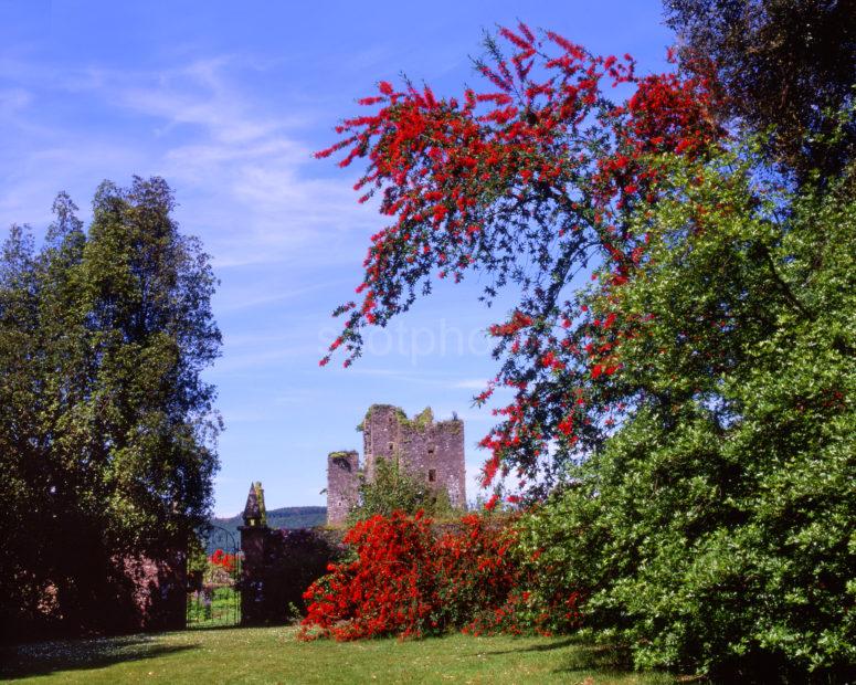 Castle Kennedy Ruins From Gardens Dumfries And Galloway