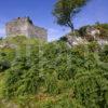 Castle Tioram Loch Moidart Nr Acharacle No Tony