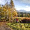 Towards Ben Nevis From Near Banavie