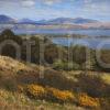 TOWARDS ARRAN FROM CARRADALE