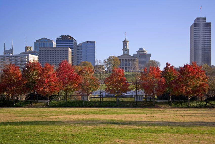 133A0318 Maple Trees Nashville