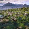 Elgol Green Boulders