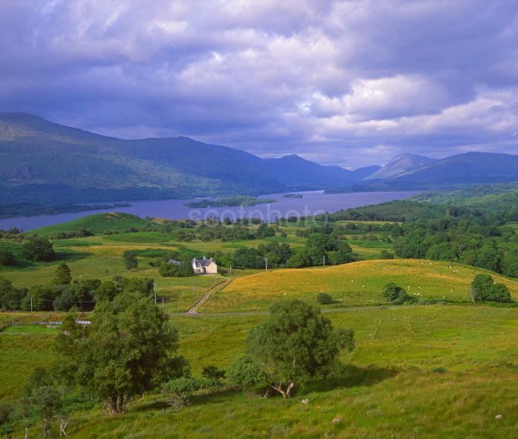 View Overlooking Loch Awe From Claddich Argyll