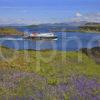 MV CLAYMORE PASSES KERRERA