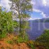 Summer View Of Loch Tummel Perthshire